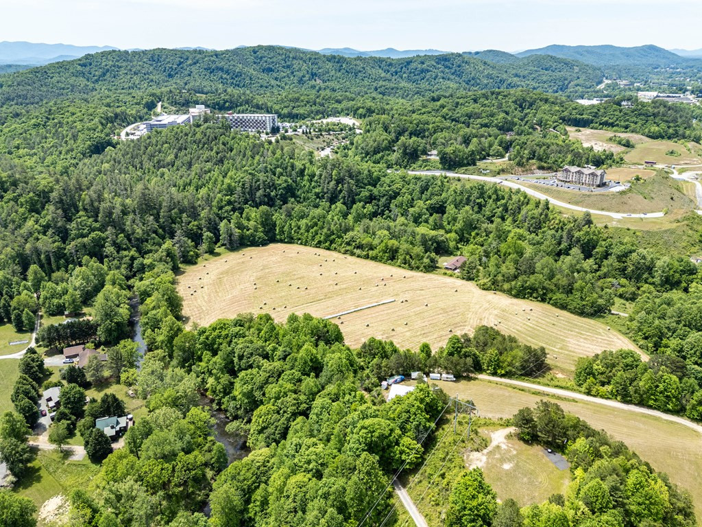 3674 Us 19 Property Photo 11