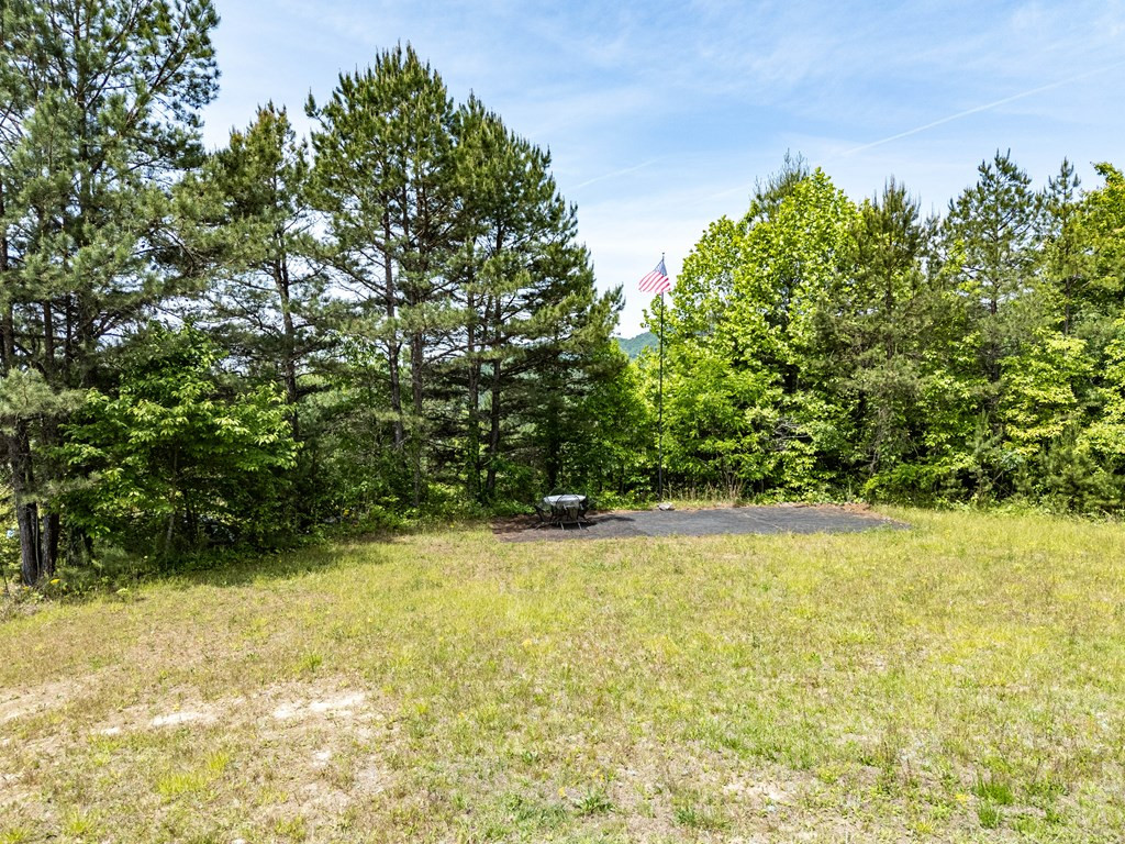 3674 Us 19 Property Photo 15