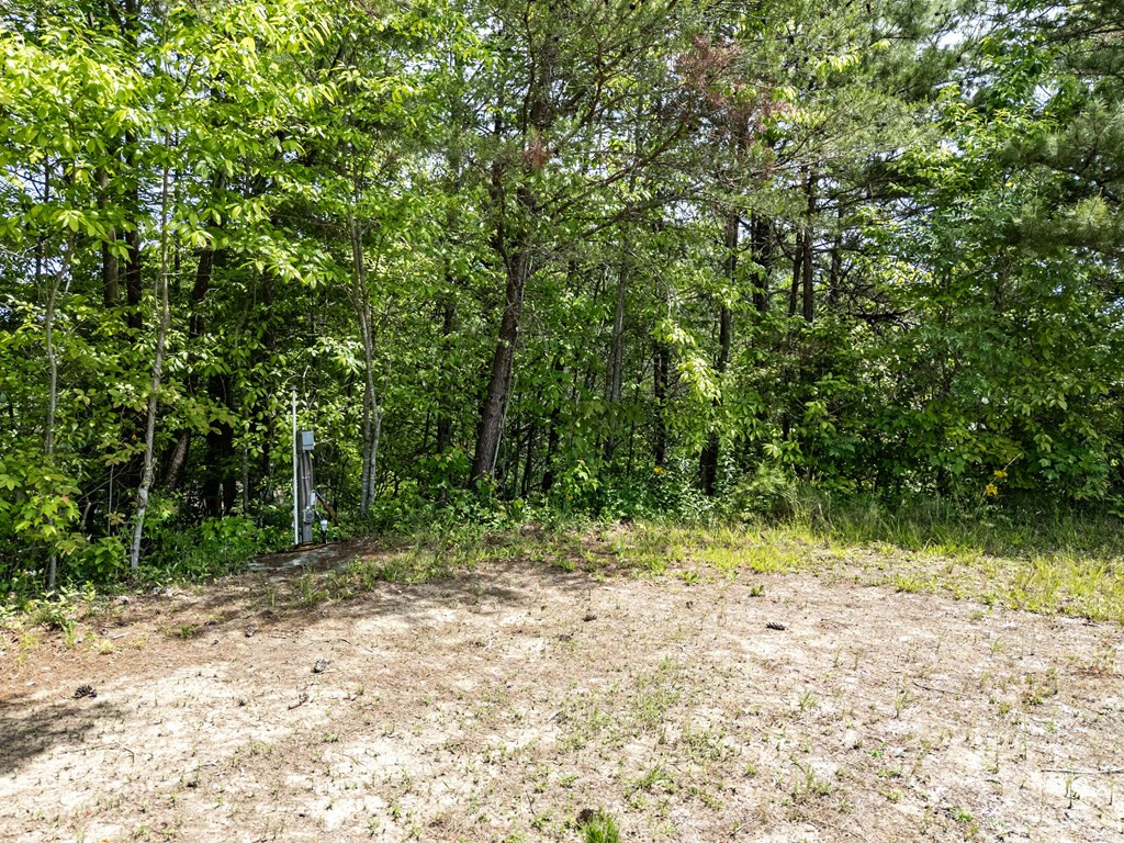 3674 Us 19 Property Photo 17