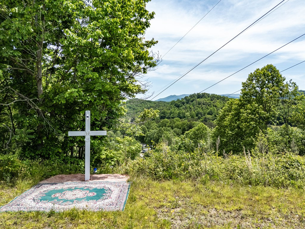 3674 Us 19 Property Photo 18