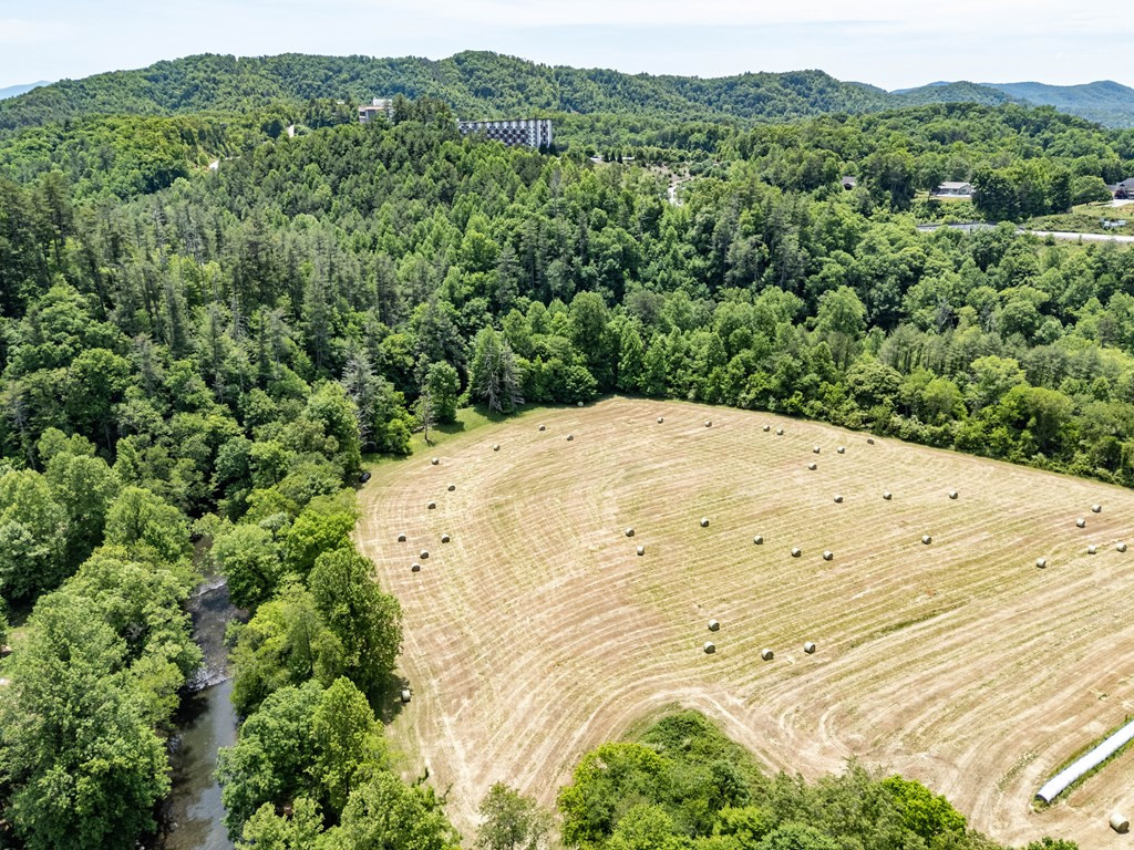 3674 Us 19 Property Photo 22