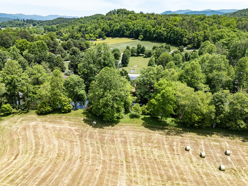 3674 Us 19 Property Photo 28