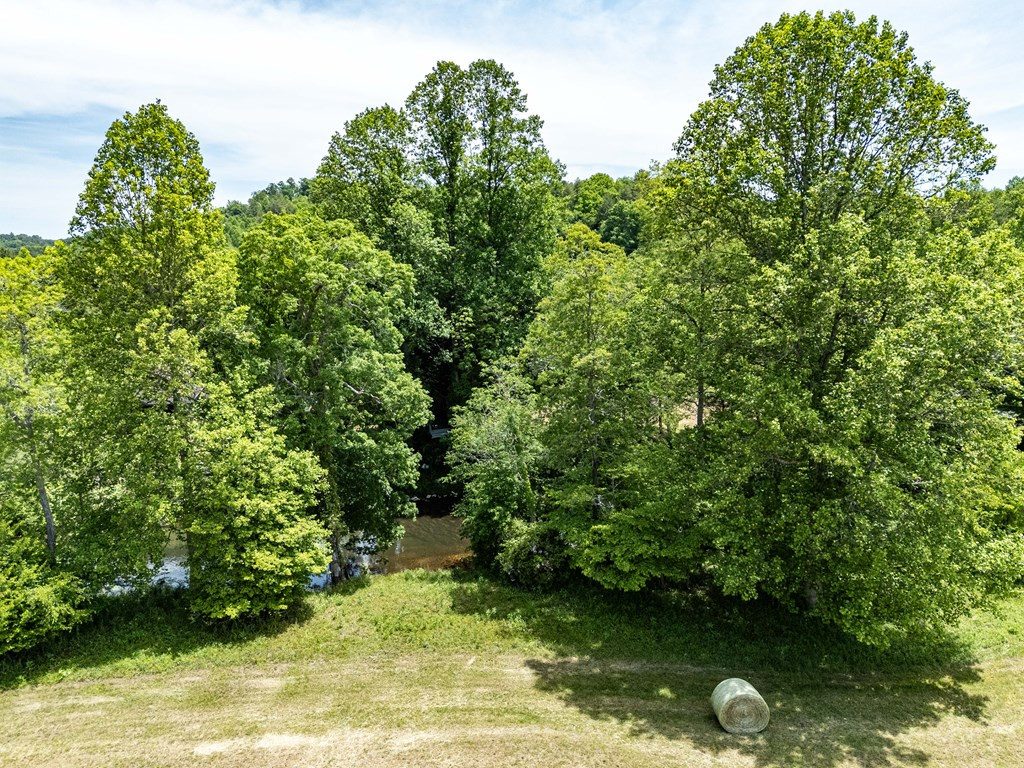 3674 Us 19 Property Photo 30