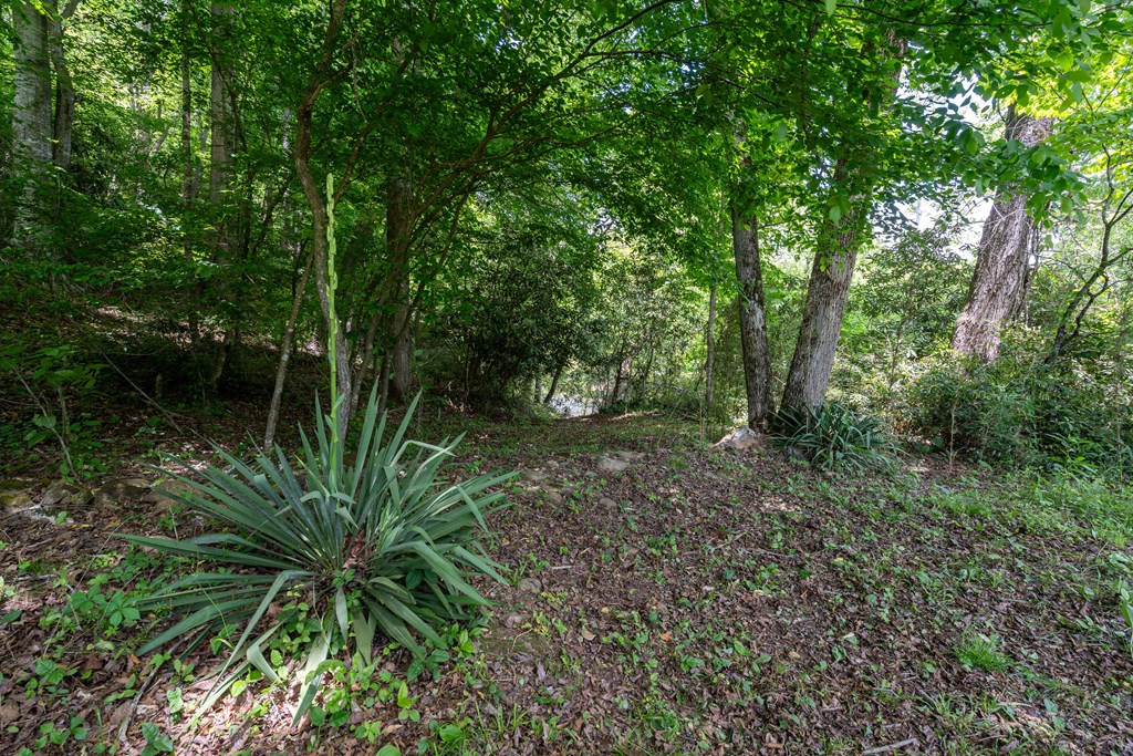 3674 Us 19 Property Photo 31
