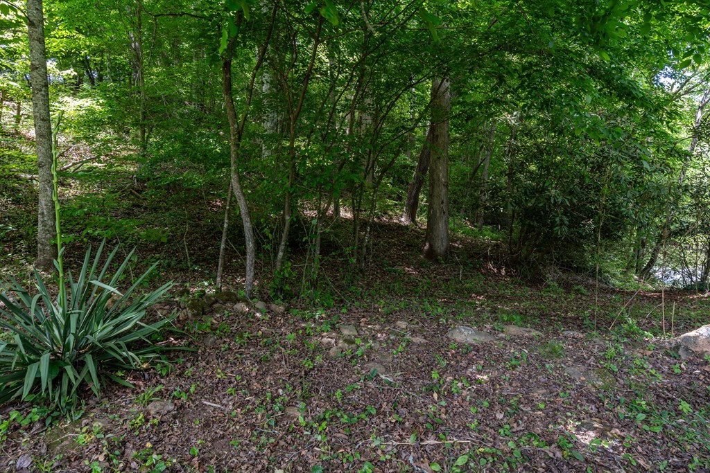 3674 Us 19 Property Photo 32