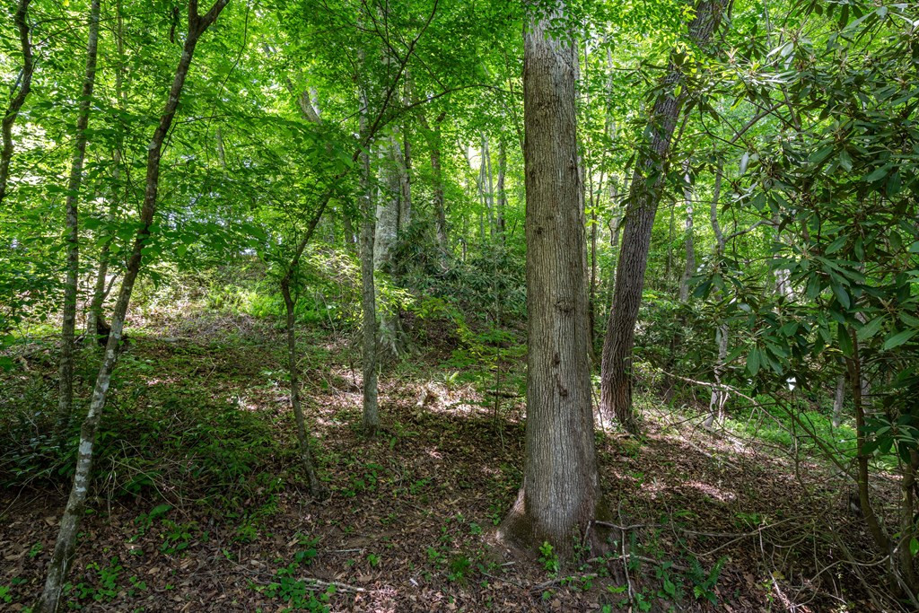 3674 Us 19 Property Photo 33