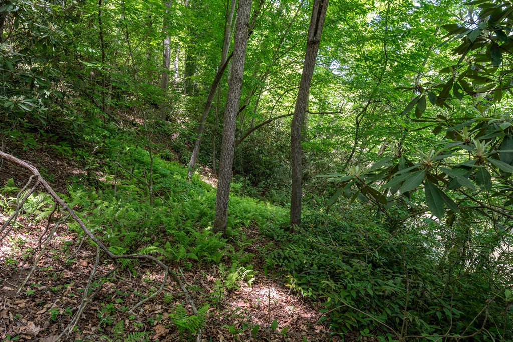 3674 Us 19 Property Photo 34