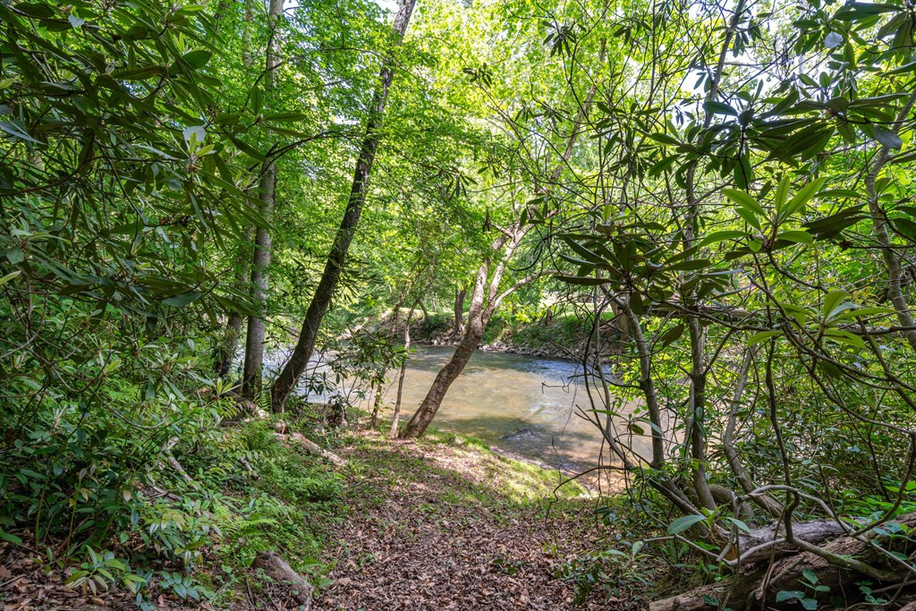 3674 Us 19 Property Photo 35