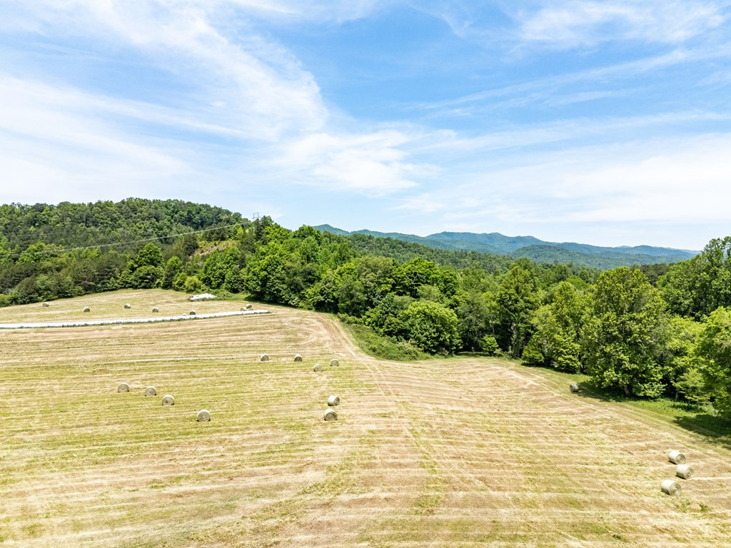 3674 Us 19 Property Photo 43