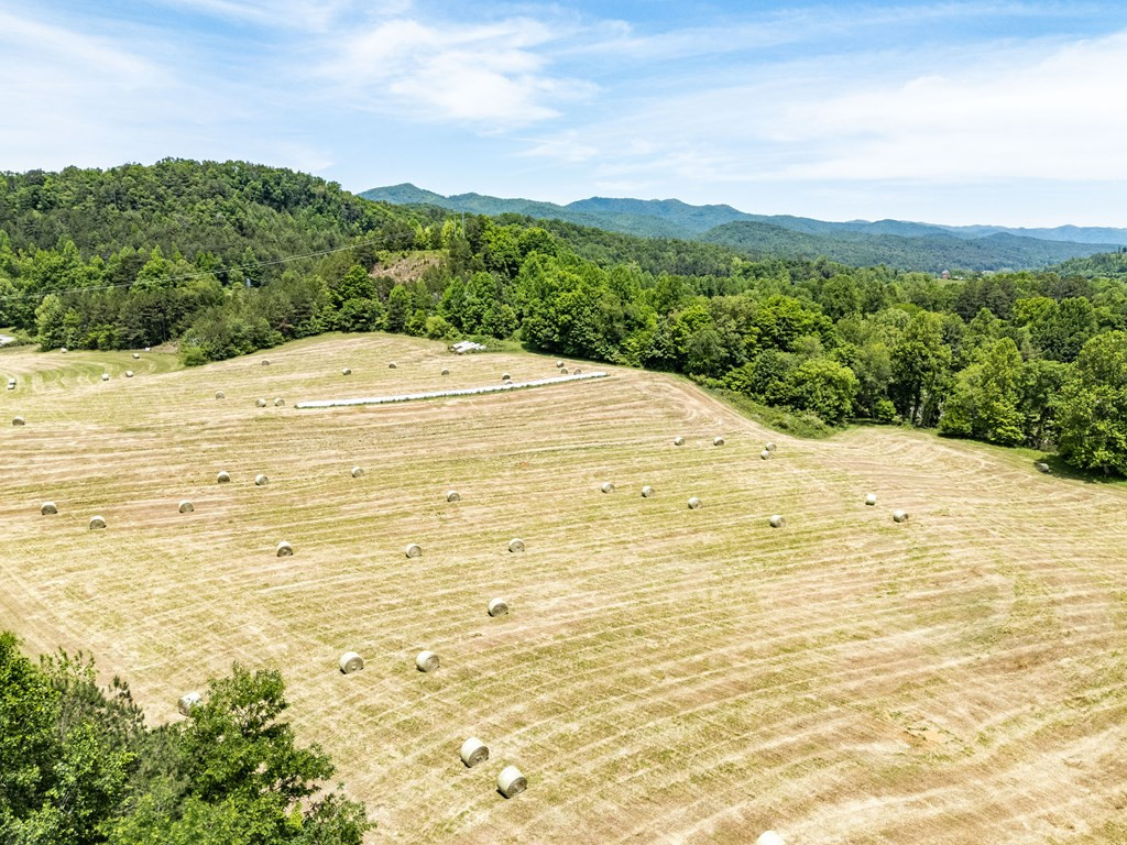 3674 Us 19 Property Photo 44