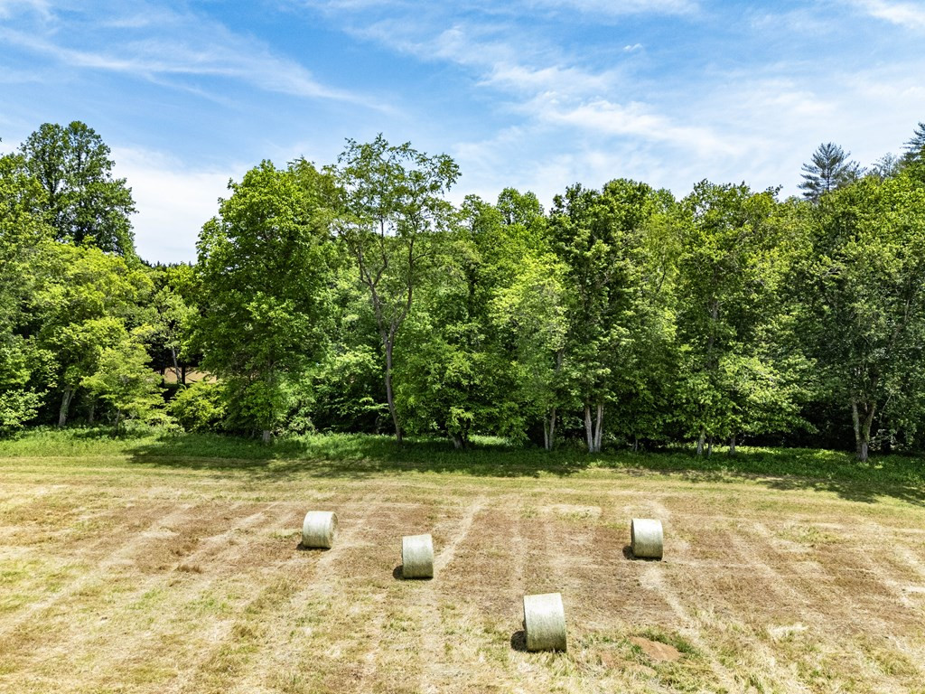 3674 Us 19 Property Photo 47