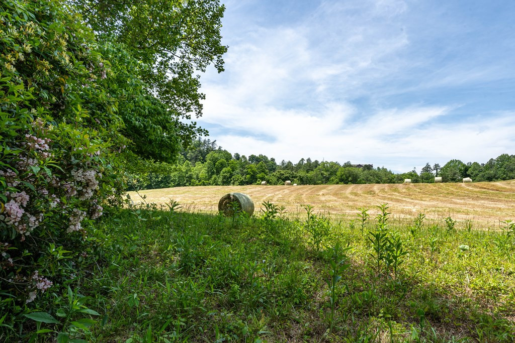3674 Us 19 Property Photo 52