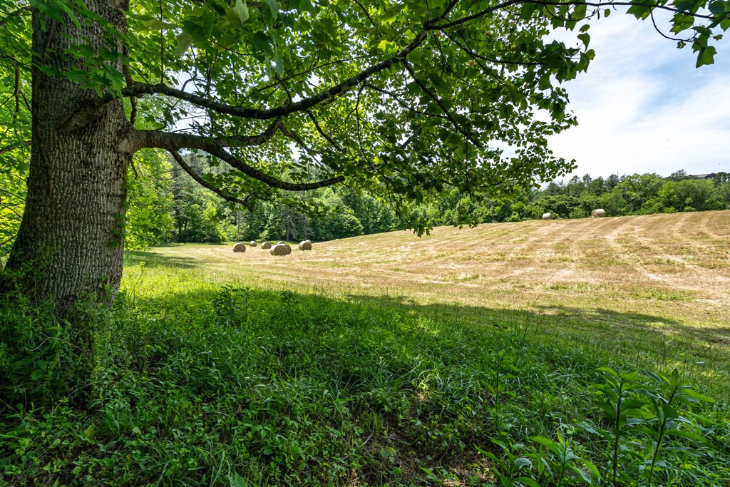 3674 Us 19 Property Photo 53