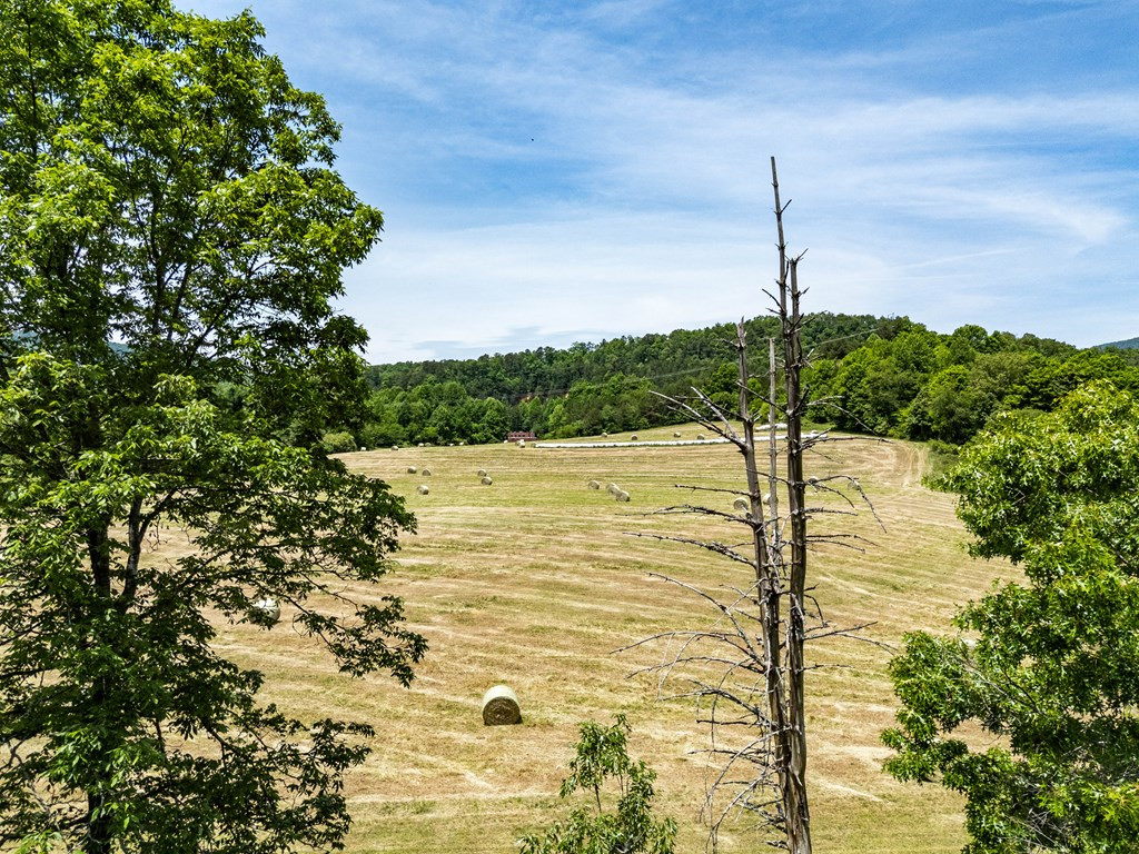 3674 Us 19 Property Photo 55