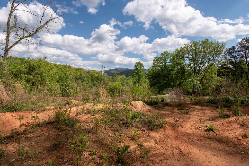 00 W Vineyard Road Property Photo 2
