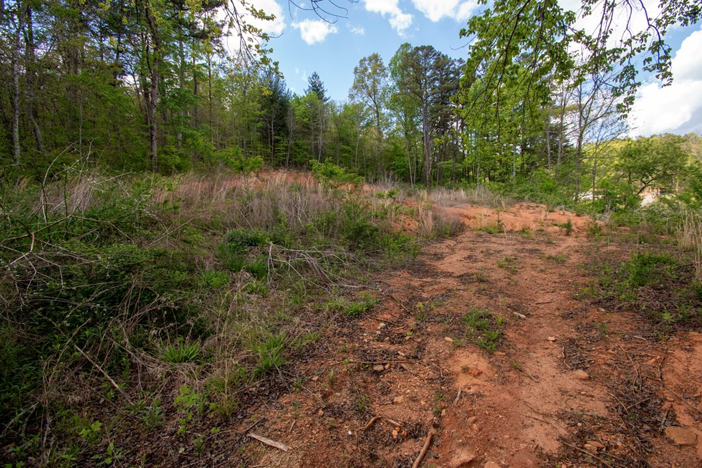 00 W Vineyard Road Property Photo 3