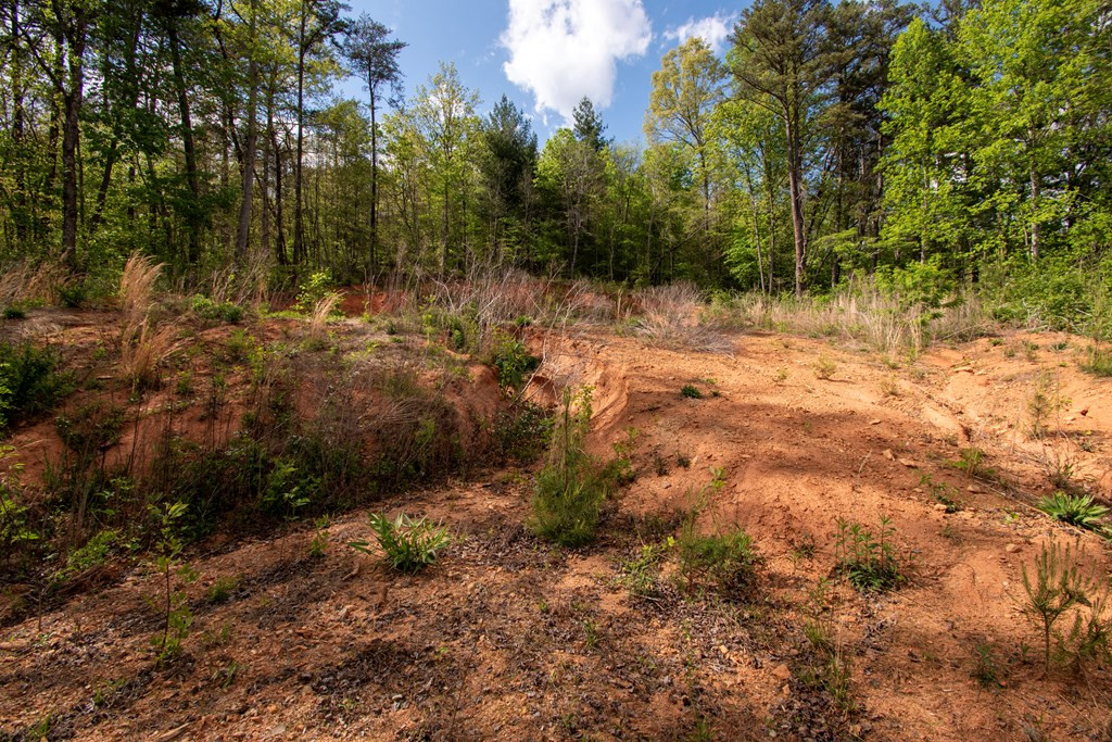 00 W Vineyard Road Property Photo 4