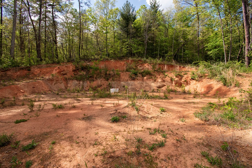 00 W Vineyard Road Property Photo 5