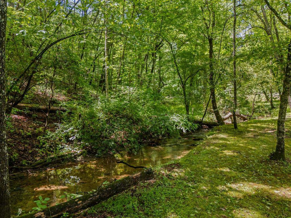 35 Winding Hill Trail Property Photo 3