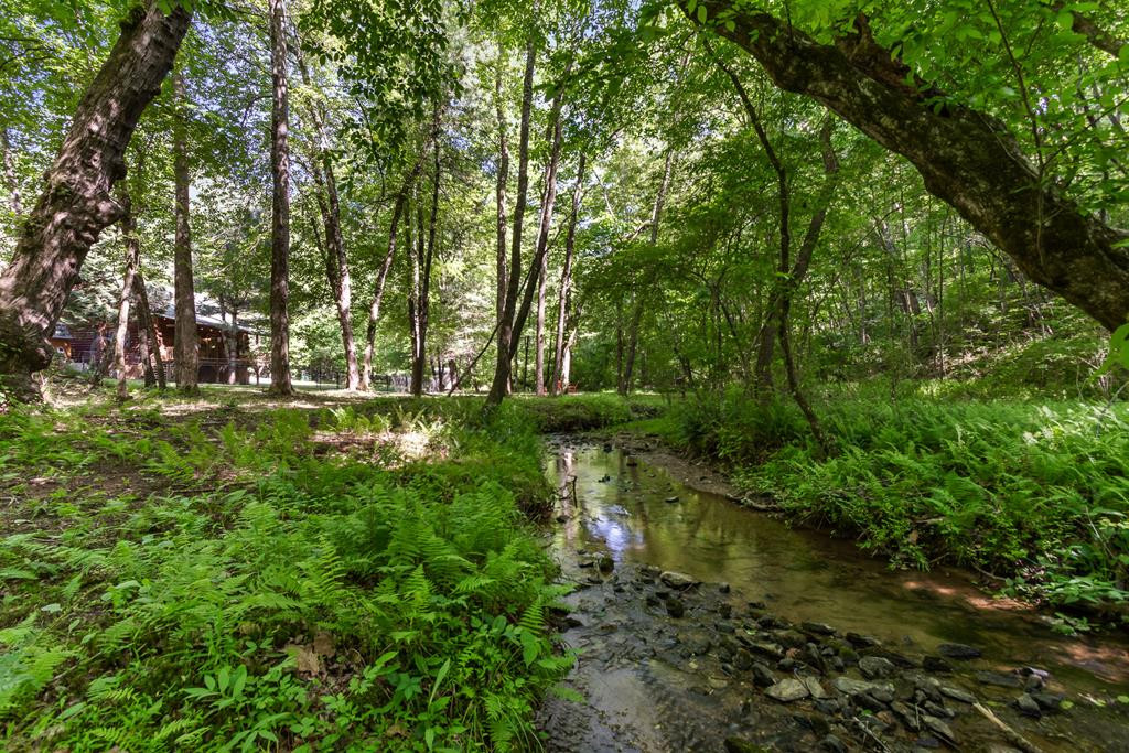 35 Winding Hill Trail Property Photo 4