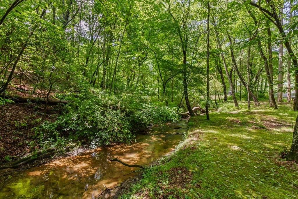 35 Winding Hill Trail Property Photo 64