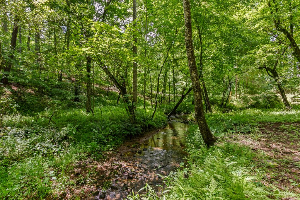 35 Winding Hill Trail Property Photo 69