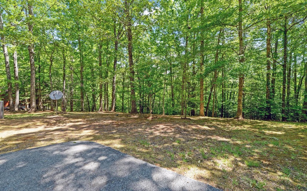 164 Dew Drop Lane Property Photo 23