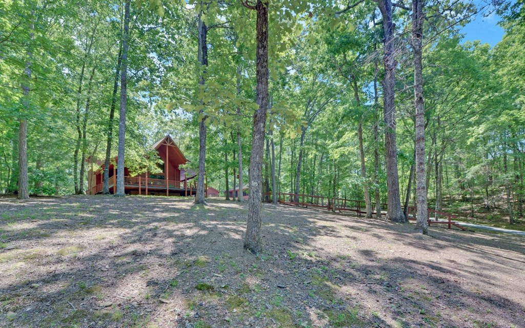 164 Dew Drop Lane Property Photo 24