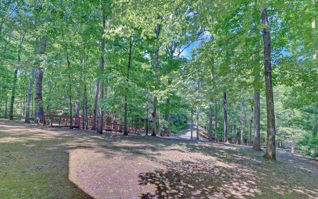 164 Dew Drop Lane Property Photo 38