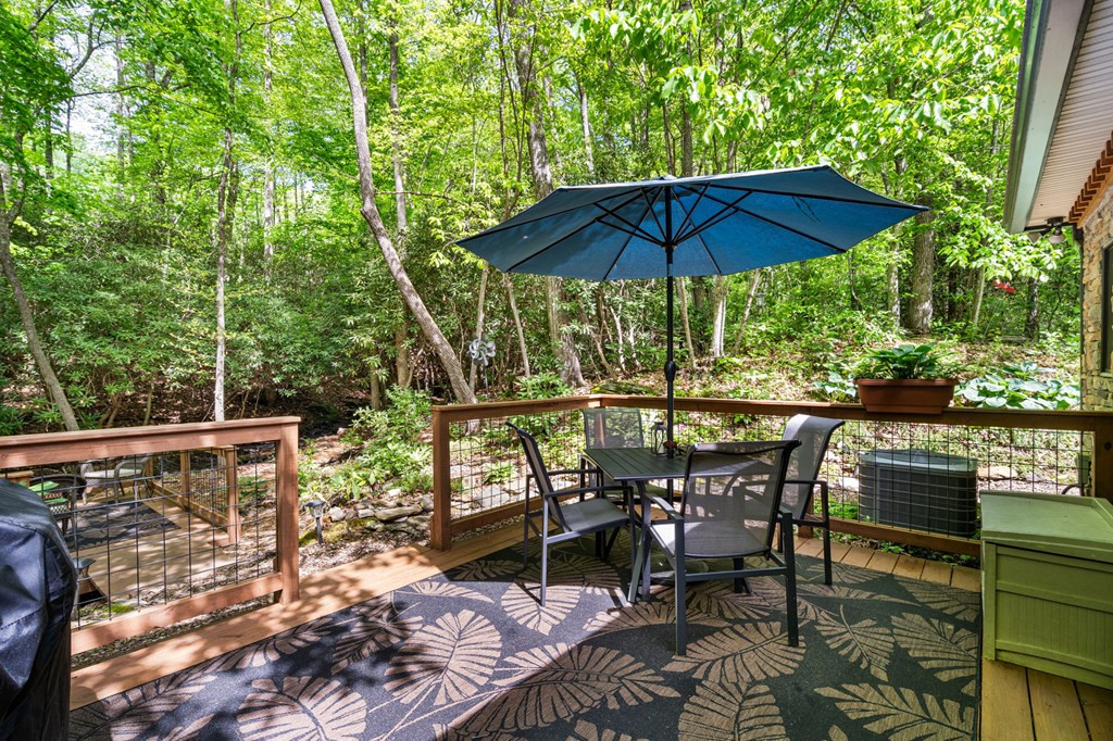 255 Stoney Brook Trail Property Photo 37