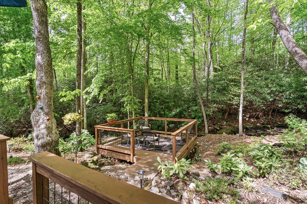255 Stoney Brook Trail Property Photo 39