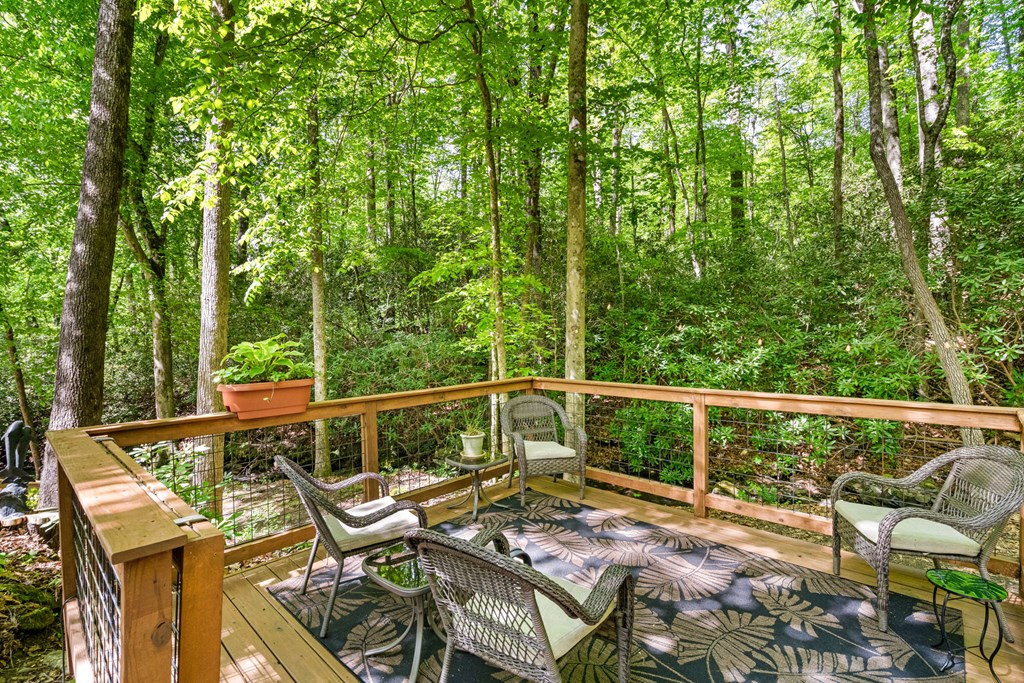 255 Stoney Brook Trail Property Photo 40