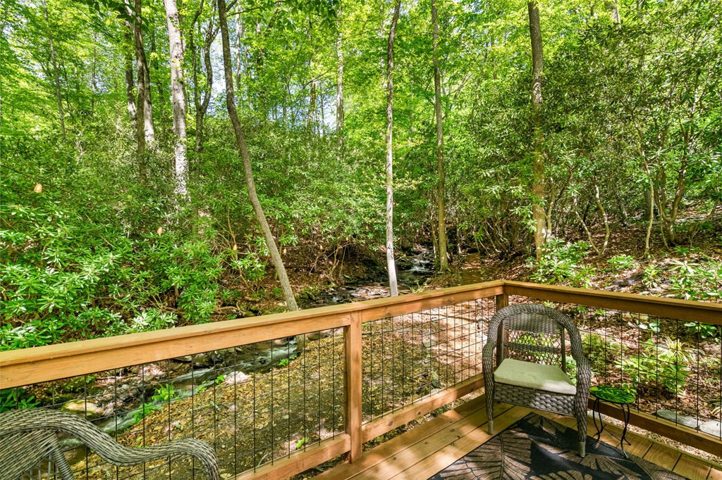 255 Stoney Brook Trail Property Photo 41
