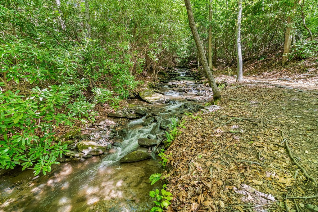 255 Stoney Brook Trail Property Photo 43