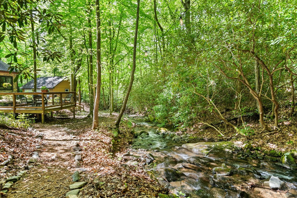 255 Stoney Brook Trail Property Photo 45