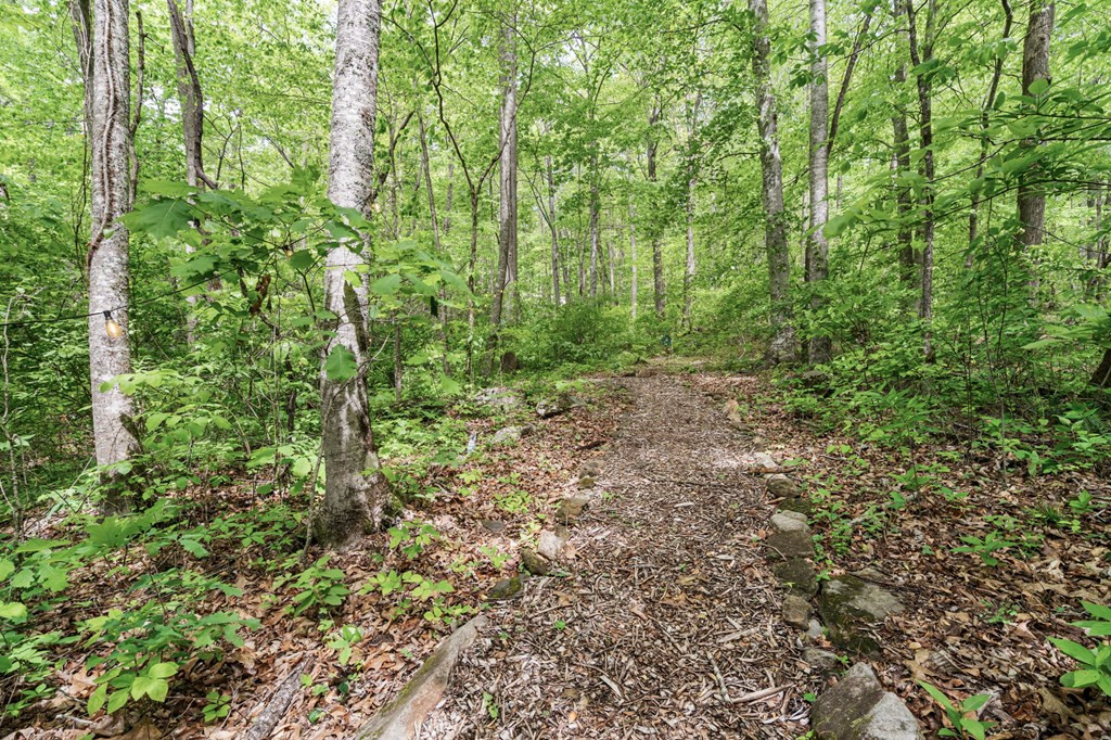 255 Stoney Brook Trail Property Photo 48