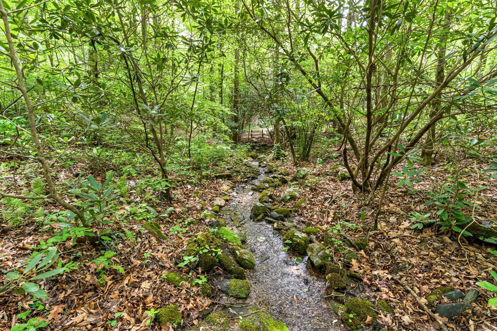 255 Stoney Brook Trail Property Photo 49