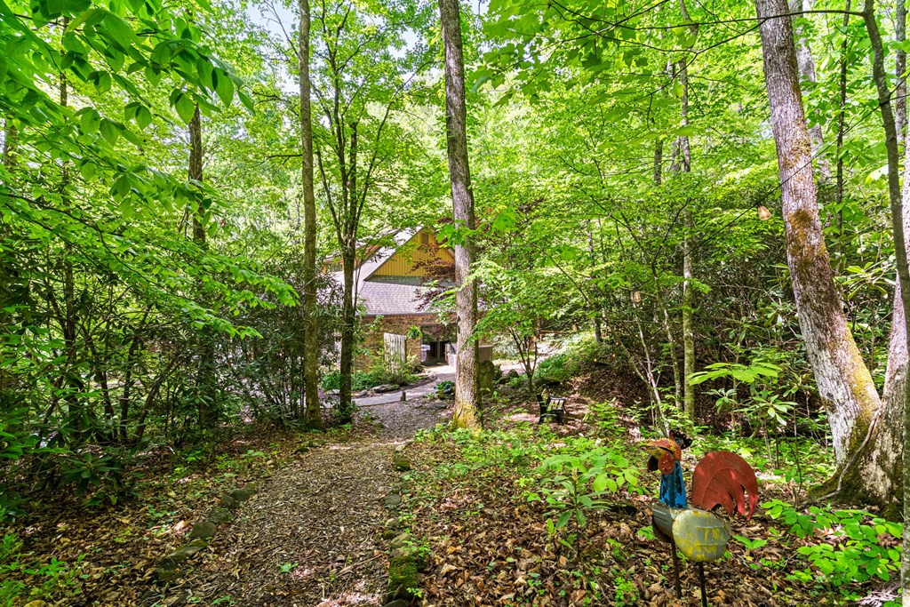 255 Stoney Brook Trail Property Photo 52