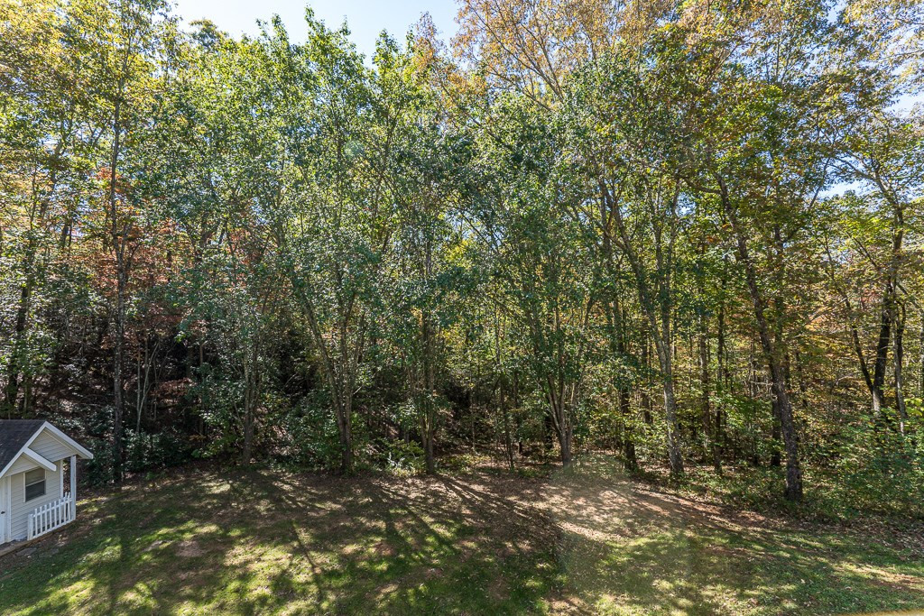 294 Sunnyside Lane Property Photo 52