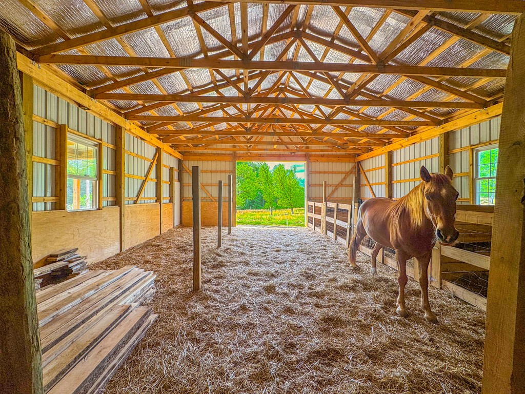 3325 Pack Mountain Road Property Photo 4