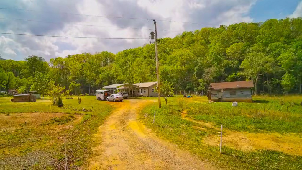 3325 Pack Mountain Road Property Photo 7