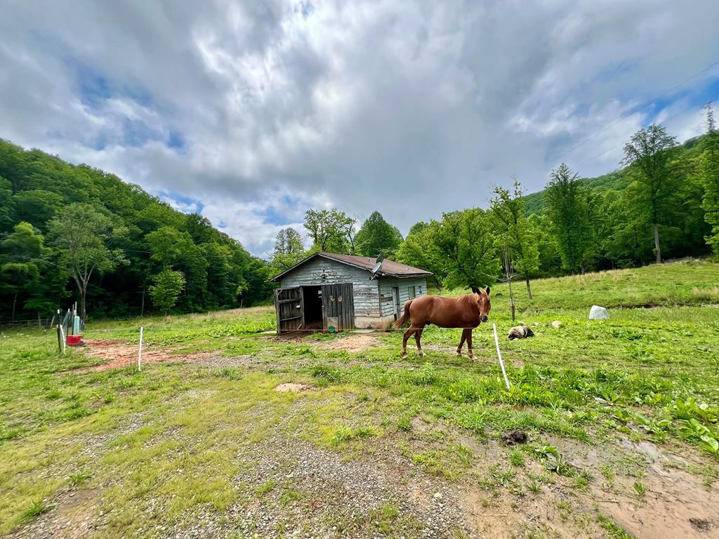 3325 Pack Mountain Road Property Photo 8