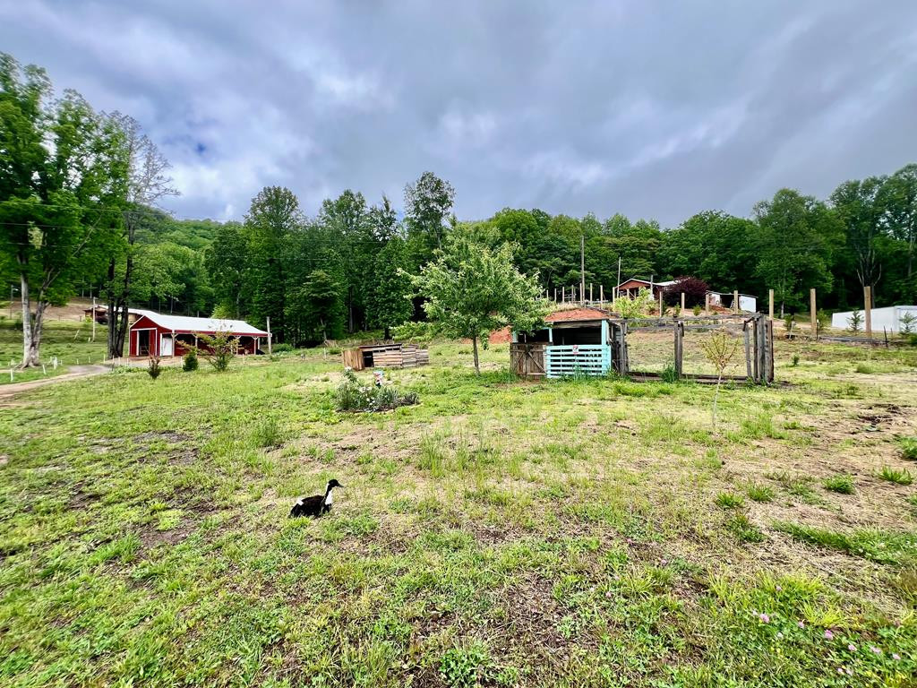 3325 Pack Mountain Road Property Photo 9