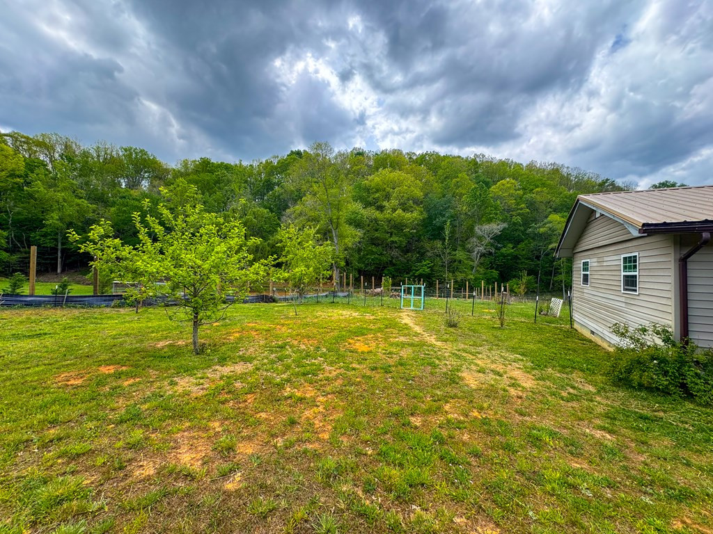 3325 Pack Mountain Road Property Photo 41