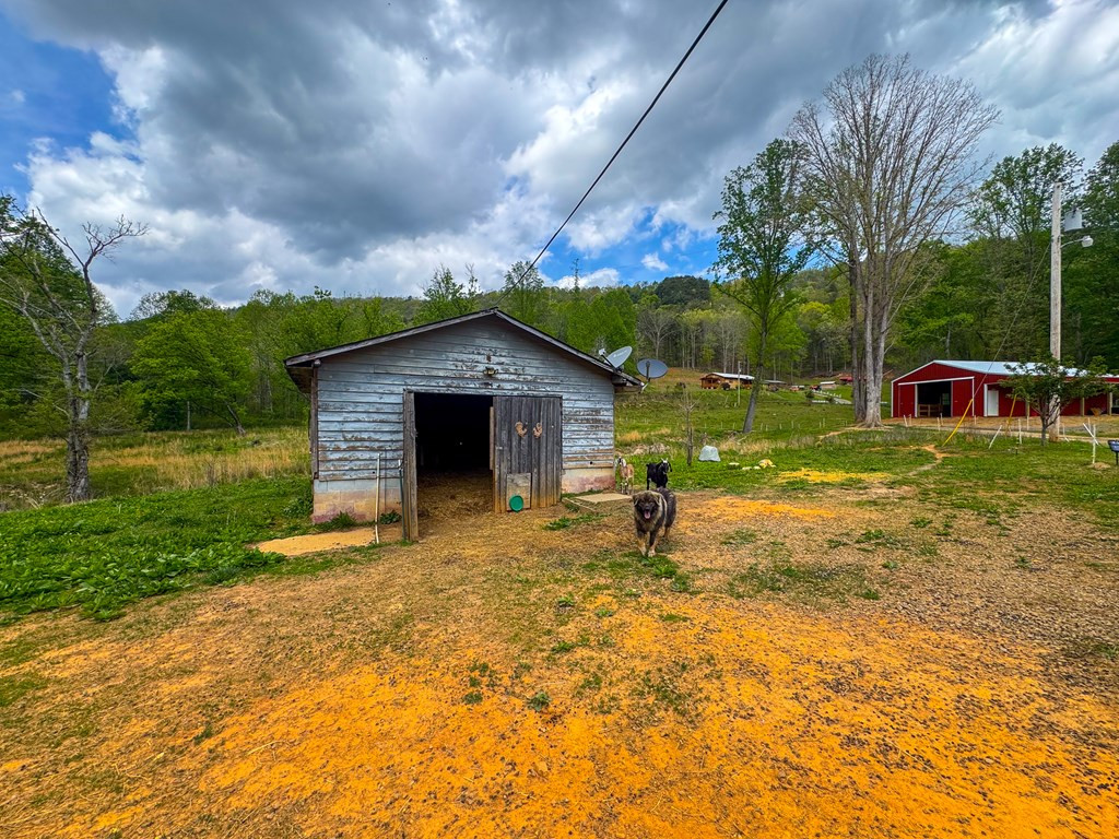 3325 Pack Mountain Road Property Photo 45