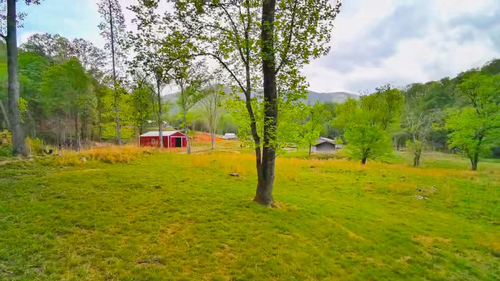 3325 Pack Mountain Road Property Photo 49