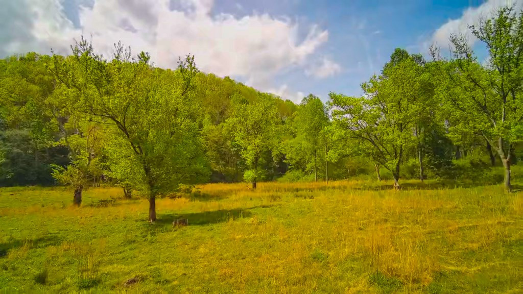 3325 Pack Mountain Road Property Photo 50