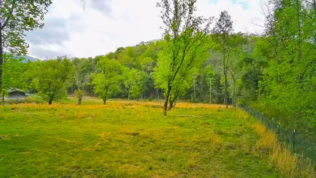 3325 Pack Mountain Road Property Photo 51