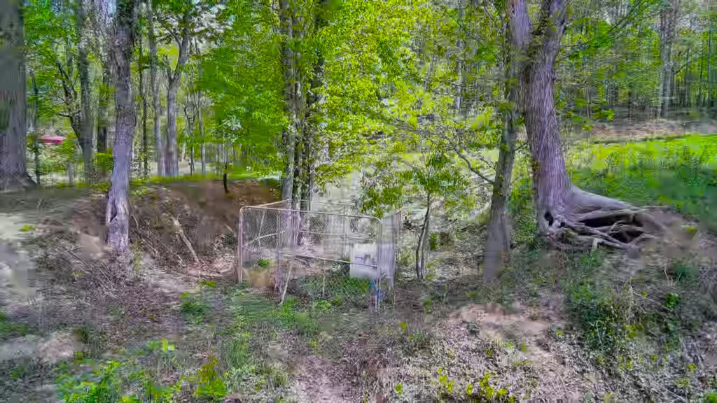 3325 Pack Mountain Road Property Photo 52