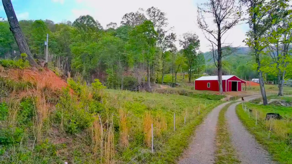 3325 Pack Mountain Road Property Photo 53